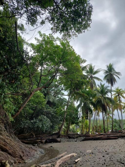 Casa Bahia Ale, Bahia Ballena Uvita Ngoại thất bức ảnh